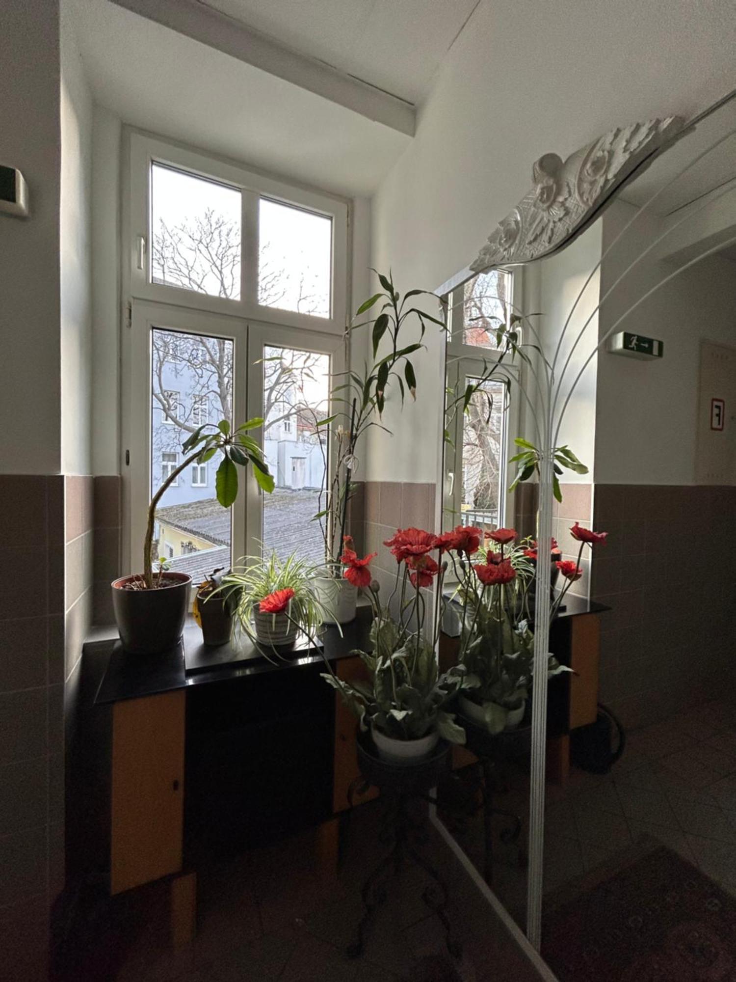 Reiner Apartment Wenen Buitenkant foto